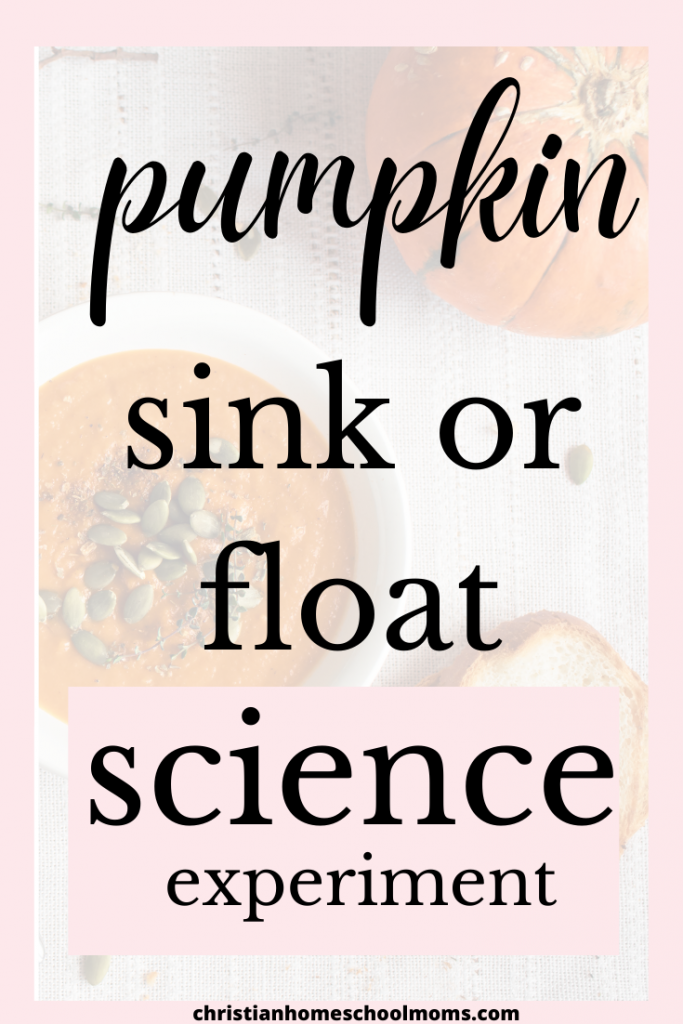Pumpkin Sink or Float Science Experiment